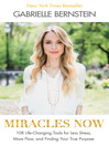 Cover image for Miracles Now
